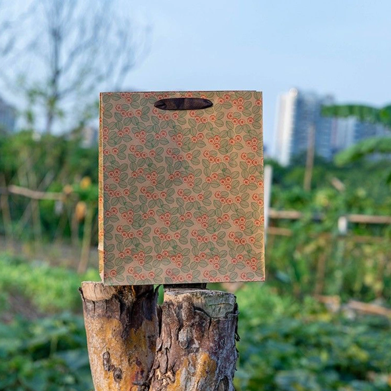 decorative paper lunch bags
